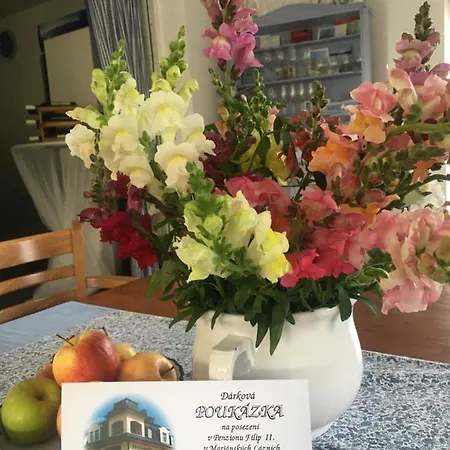 A Restaurace Filip Ii 3* Маріанські Лазні